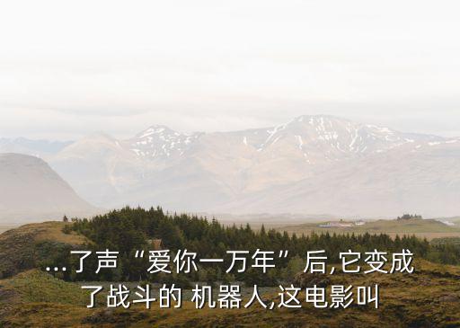 ...了聲“愛(ài)你一萬(wàn)年”后,它變成了戰(zhàn)斗的 機(jī)器人,這電影叫