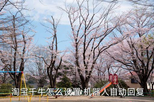  淘寶千牛怎么設(shè)置 機器人自動回復(fù)