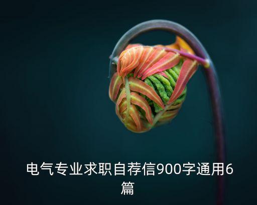  電氣專業(yè)求職自薦信900字通用6篇