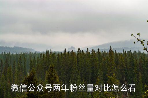 微信公眾號(hào)兩年粉絲量對(duì)比怎么看