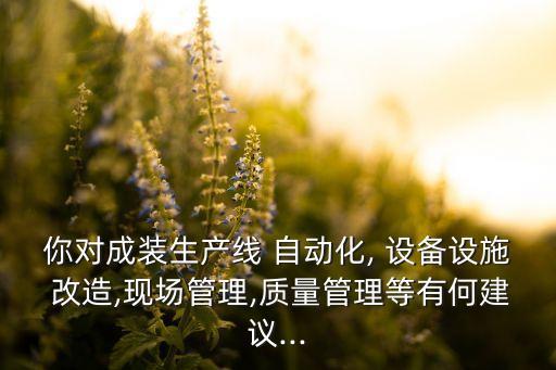 你對成裝生產(chǎn)線 自動化, 設(shè)備設(shè)施 改造,現(xiàn)場管理,質(zhì)量管理等有何建議...
