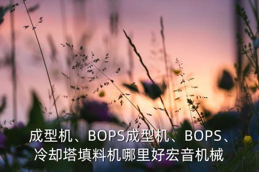 成型機、BOPS成型機、BOPS、冷卻塔填料機哪里好宏音機械