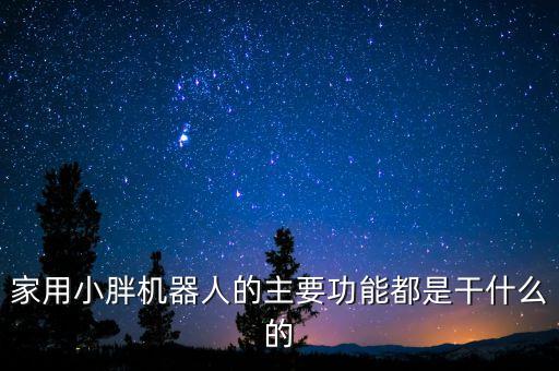 家用小胖機器人的主要功能都是干什么的