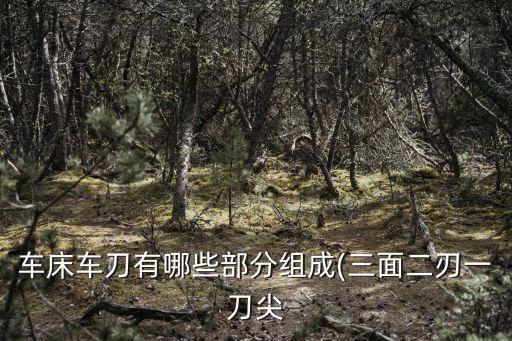 車(chē)床車(chē)刀有哪些部分組成(三面二刃一刀尖