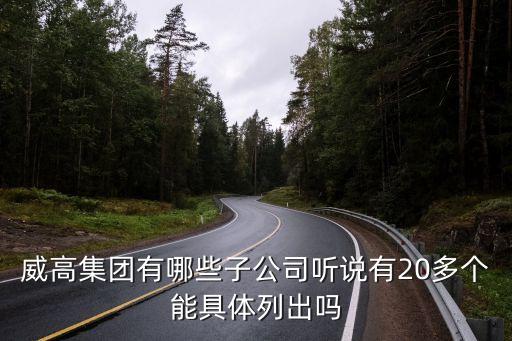 威高集團有哪些子公司聽說有20多個能具體列出嗎