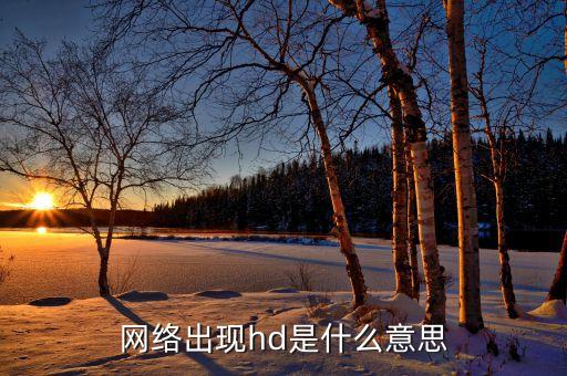 hdhd,手機(jī)信號(hào)怎么顯示hd?看這里!