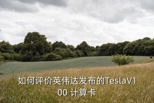 如何評價英偉達發(fā)布的TeslaV100 計算卡