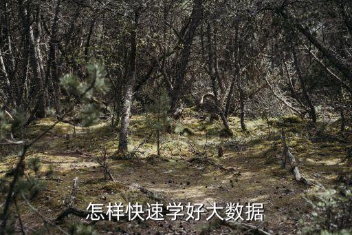 怎樣快速學(xué)好大數(shù)據(jù)