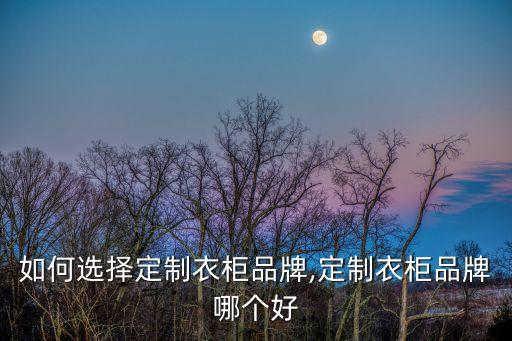 如何選擇定制衣柜品牌,定制衣柜品牌哪個(gè)好