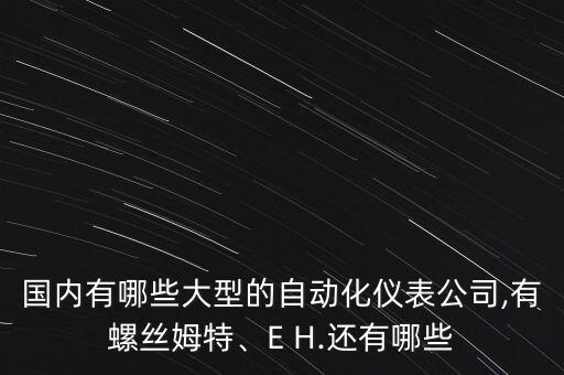 國內有哪些大型的自動化儀表公司,有螺絲姆特、E H.還有哪些
