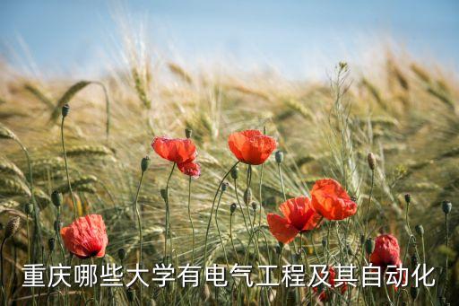 重慶專業(yè)的自動(dòng)化輸送機(jī)構(gòu),重慶電氣自動(dòng)化專業(yè)哪個(gè)學(xué)校好?