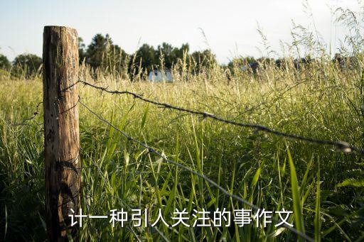 智能機(jī)器人jibo多少錢,關(guān)于機(jī)器人你必須知道的5件事