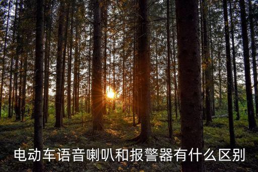 語音報警器,電動車語音喇叭和報警器有什么區(qū)別?
