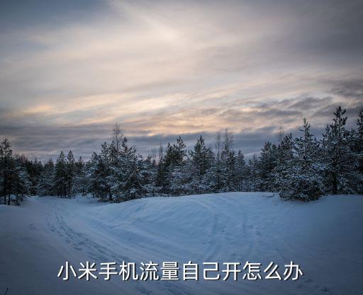 數(shù)據(jù)自動(dòng)打開(kāi)怎么辦,手機(jī)怎么自動(dòng)開(kāi)數(shù)據(jù)?
