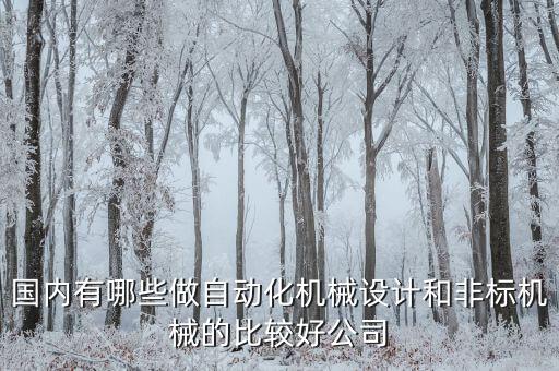 國(guó)內(nèi)有哪些做自動(dòng)化機(jī)械設(shè)計(jì)和非標(biāo)機(jī)械的比較好公司