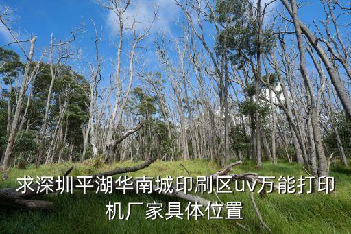 求深圳平湖華南城印刷區(qū)uv萬(wàn)能打印機(jī)廠家具體位置