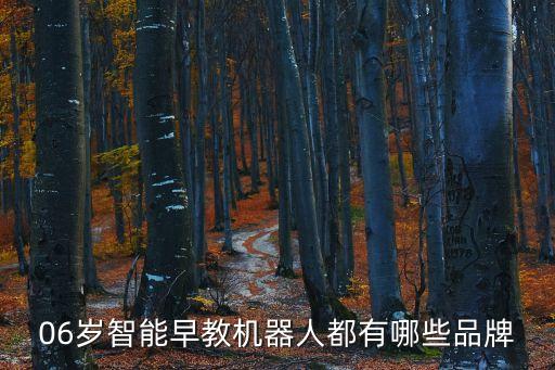 06歲智能早教機器人都有哪些品牌