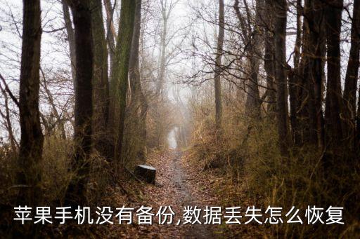 蘋果手機沒有備份,數(shù)據(jù)丟失怎么恢復