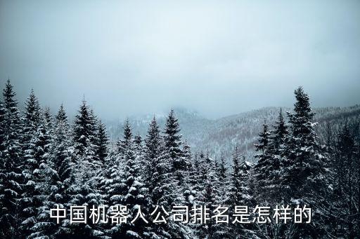 中國(guó)機(jī)器人公司排名是怎樣的