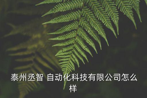  泰州丞智 自動(dòng)化科技有限公司怎么樣