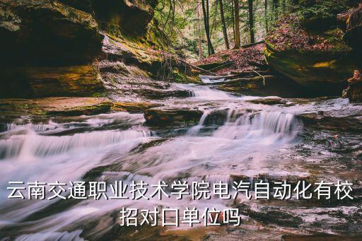 云南交通職業(yè)技術學院電汽自動化有校招對囗單位嗎