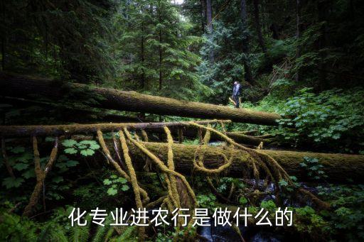 自動化專業(yè)進農(nóng)行是做什么的