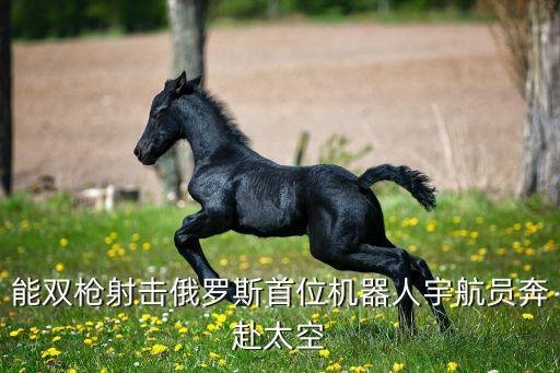俄機器人逃跑9,跑吧少年游戲卡組怎么搭配最強?