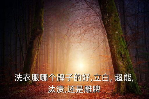 洗衣服哪個(gè)牌子的好,立白, 超能,汰漬,還是雕牌