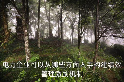 電力企業(yè)可以從哪些方面入手構(gòu)建績(jī)效管理激勵(lì)機(jī)制