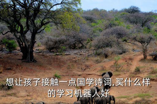 想讓孩子接觸一點國學(xué)詩詞,買什么樣的學(xué)習(xí)機器人好