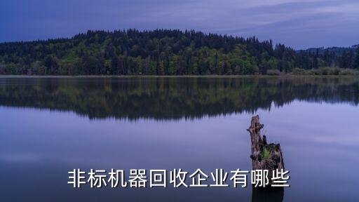 非標(biāo)機(jī)器回收企業(yè)有哪些