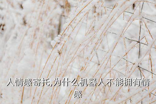 人情感寄托,為什么機(jī)器人不能擁有情感
