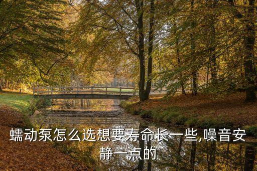 蠕動泵怎么選想要壽命長一些,噪音安靜一點的