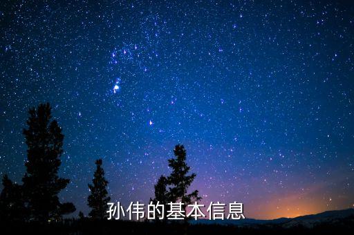 孫偉的基本信息