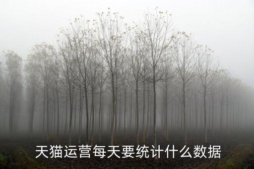 關(guān)于天貓戰(zhàn)略數(shù)據(jù)分析,天貓雙十一歷年成交額數(shù)據(jù)分析