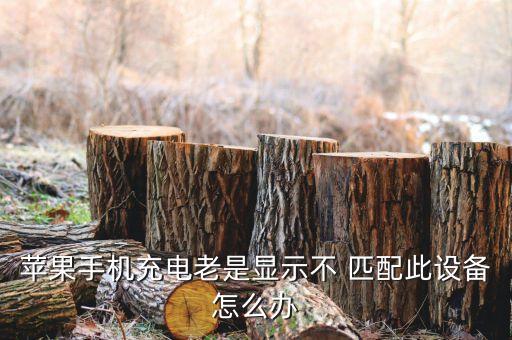 蘋果手機(jī)充電老是顯示不 匹配此設(shè)備怎么辦