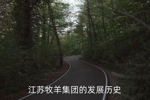 江蘇牧羊集團的發(fā)展歷史