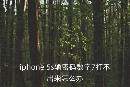 iphone 5s輸密碼數(shù)字7打不出來怎么辦