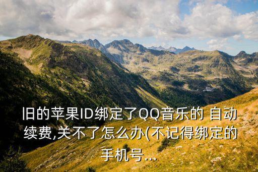 飛磨科技自動(dòng)續(xù)費(fèi)怎么關(guān),三點(diǎn)靈科技自動(dòng)續(xù)費(fèi)