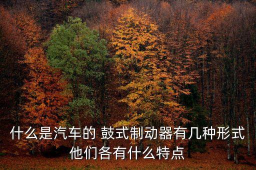鼓式,邁式和盤式剎車的區(qū)別