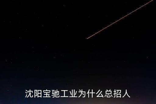 萊斯特自動(dòng)化有限公司招聘,自動(dòng)化技術(shù)員人力資源公司好