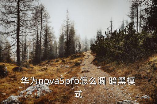 華為nova5pro怎么調(diào) 暗黑模式