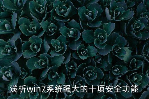 win7 數(shù)據(jù)保護(hù),一文看懂:數(shù)據(jù)執(zhí)行保護(hù)從何而來(lái)?