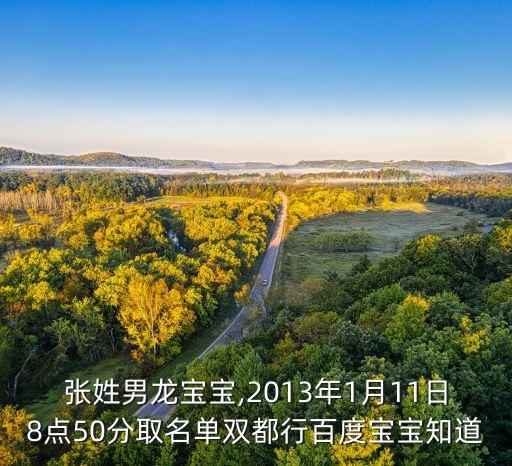 張瑞金