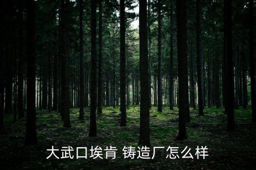 大武口?？?鑄造廠怎么樣