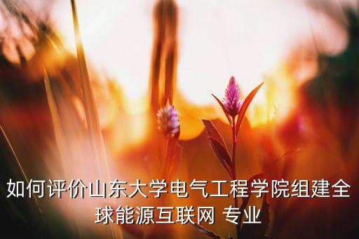 如何評價山東大學電氣工程學院組建全球能源互聯(lián)網(wǎng) 專業(yè)