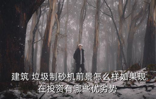  建筑 垃圾制砂機(jī)前景怎么樣如果現(xiàn)在投資有哪些優(yōu)劣勢(shì)