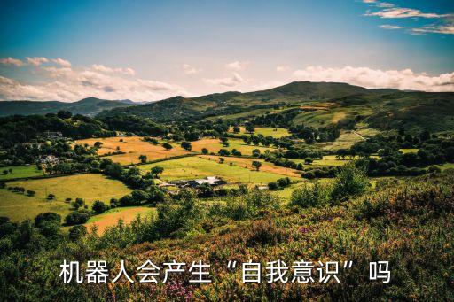 機(jī)器人會產(chǎn)生“自我意識”嗎