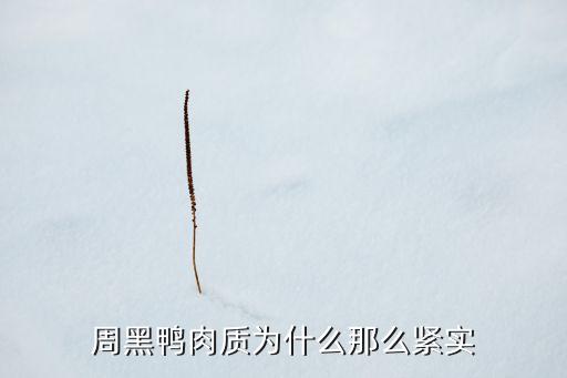 周黑鴨肉質(zhì)為什么那么緊實(shí)
