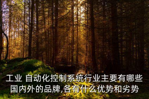 工業(yè) 自動化控制系統(tǒng)行業(yè)主要有哪些國內(nèi)外的品牌,各有什么優(yōu)勢和劣勢